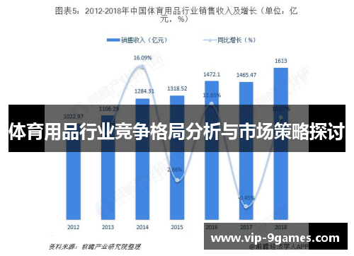 体育用品行业竞争格局分析与市场策略探讨