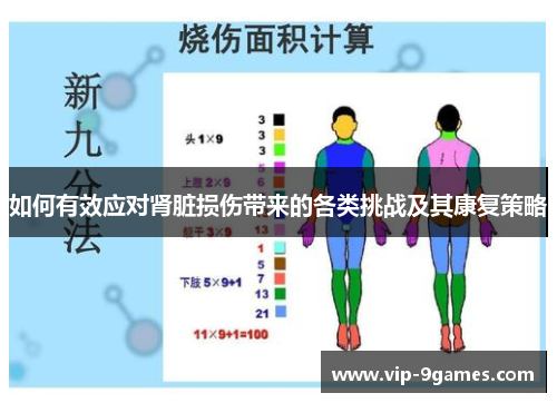 如何有效应对肾脏损伤带来的各类挑战及其康复策略