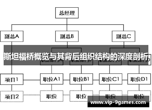 斯坦福桥概览与其背后组织结构的深度剖析