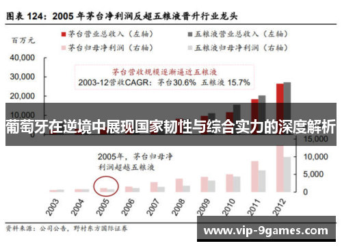 葡萄牙在逆境中展现国家韧性与综合实力的深度解析